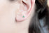 products/6_85243e0e-a8bf-4216-a838-95fc98a381aa.jpg