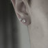 products/E_585ff84e-d26a-46b1-8d2b-15c8c3498df4.jpg